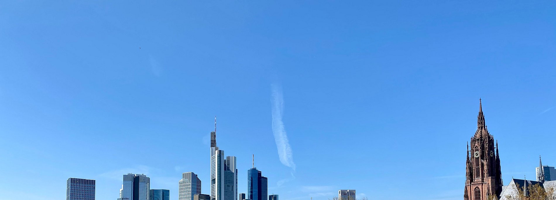 Frankfurter Skyline vom Main aus