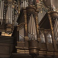 Besondere Konzerte in Frankfurts ältester Kirche