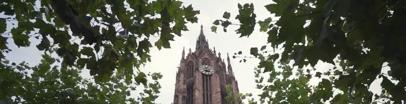 Frankfurter Dom mit Bäumen